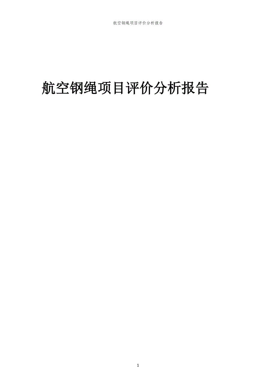 航空钢绳项目评价分析报告_第1页