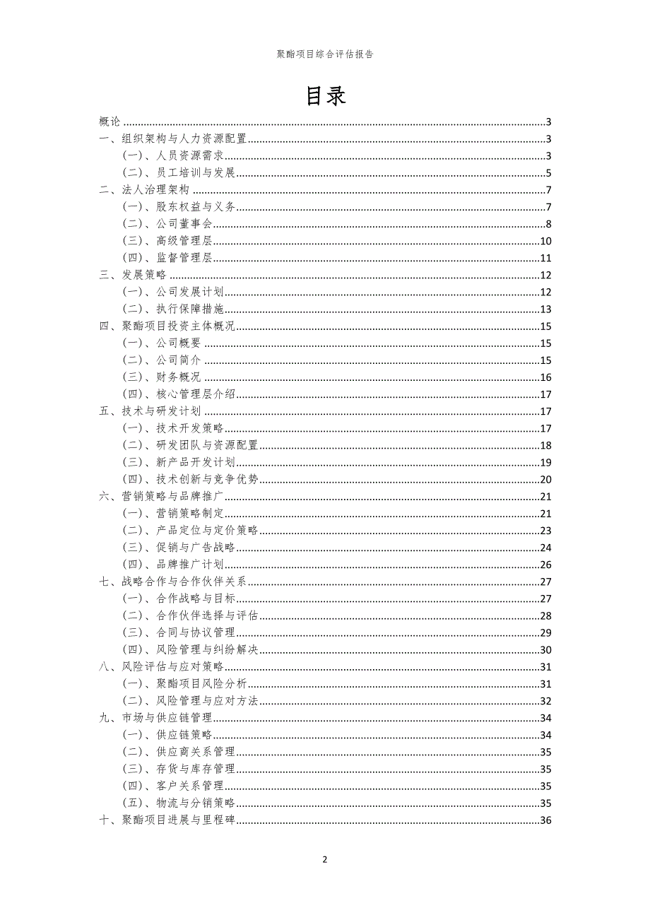 聚酯项目综合评估报告_第2页