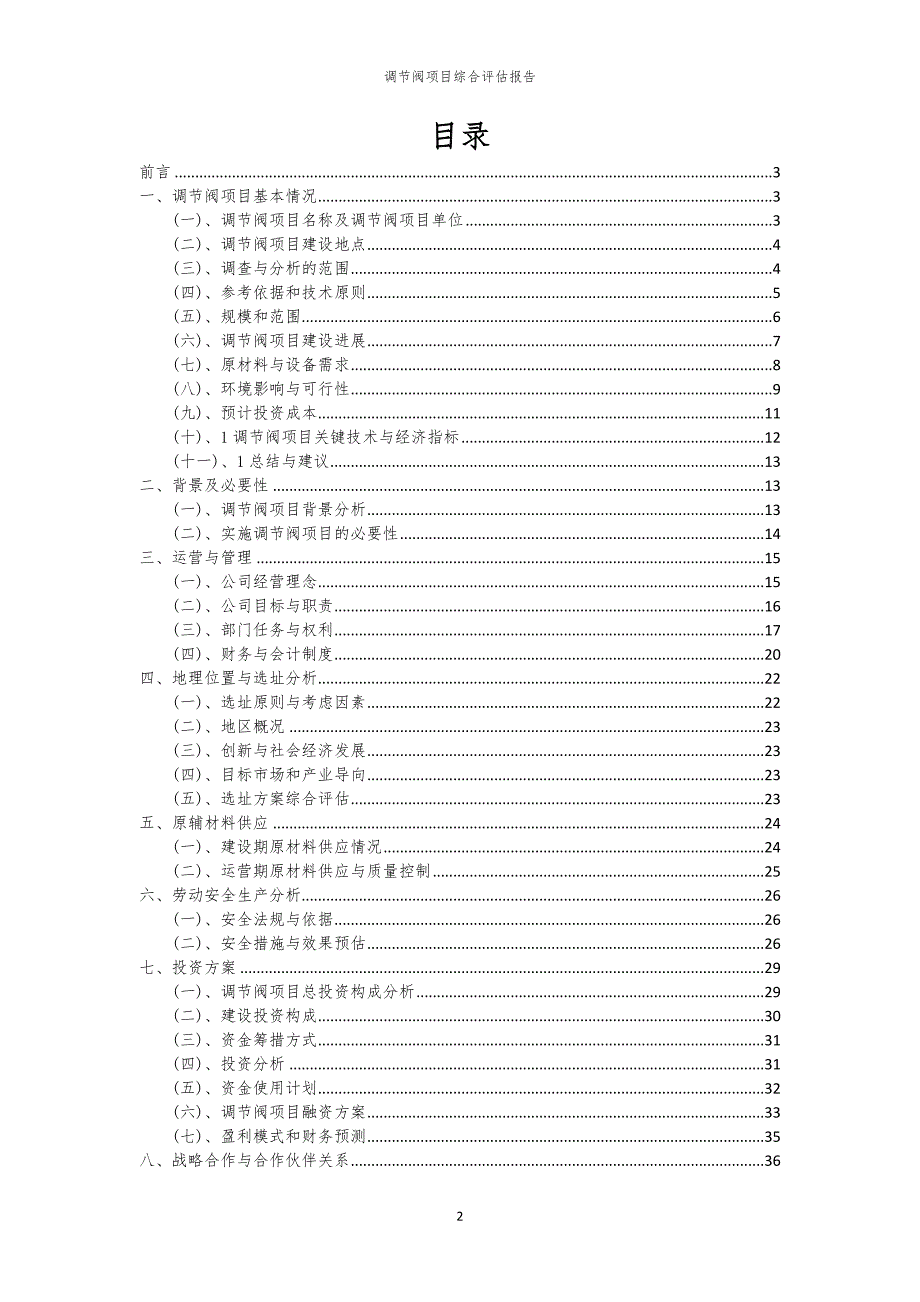 调节阀项目综合评估报告_第2页