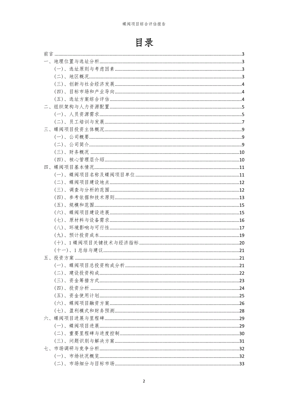 蝶阀项目综合评估报告_第2页