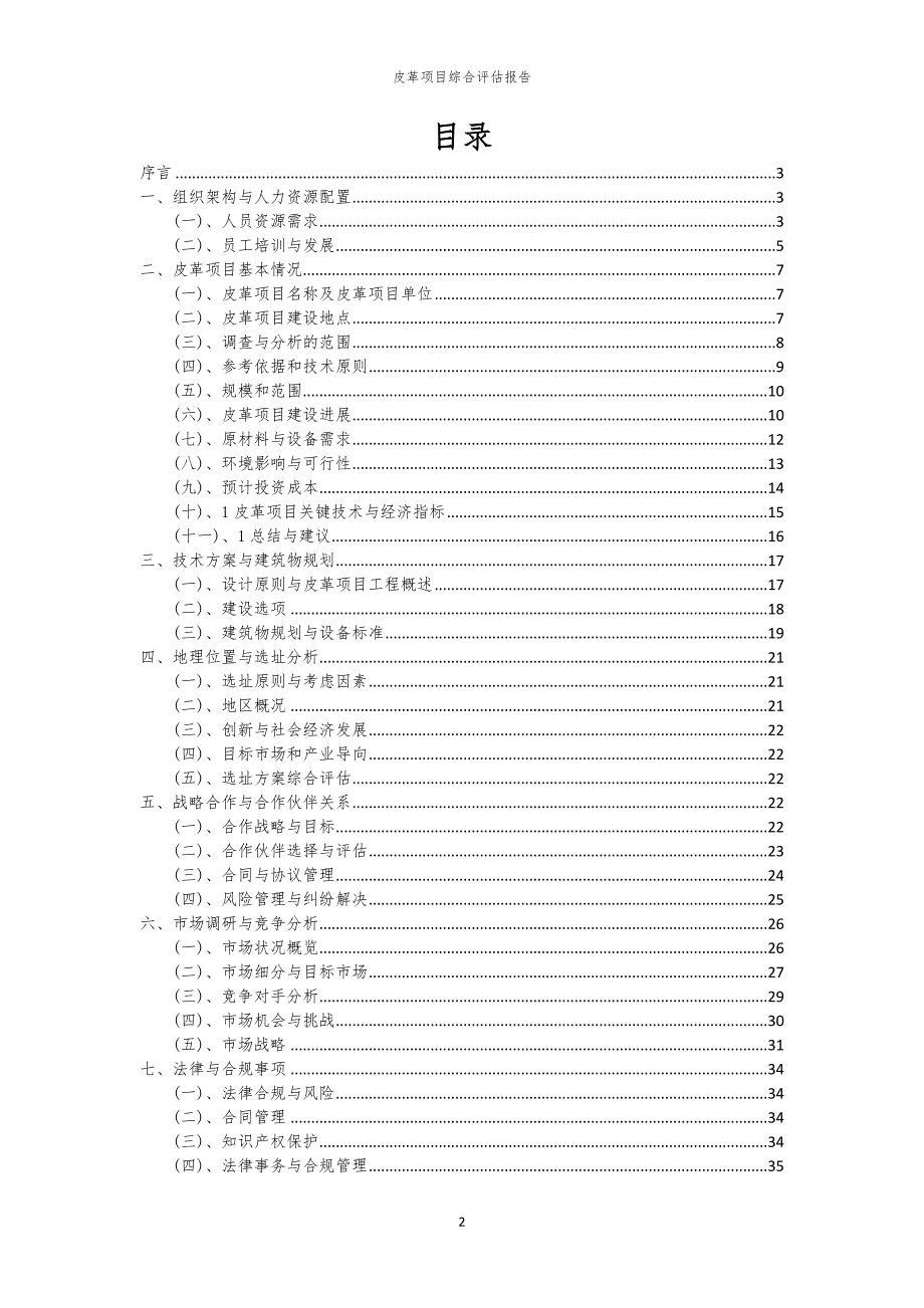 皮革项目综合评估报告_第2页