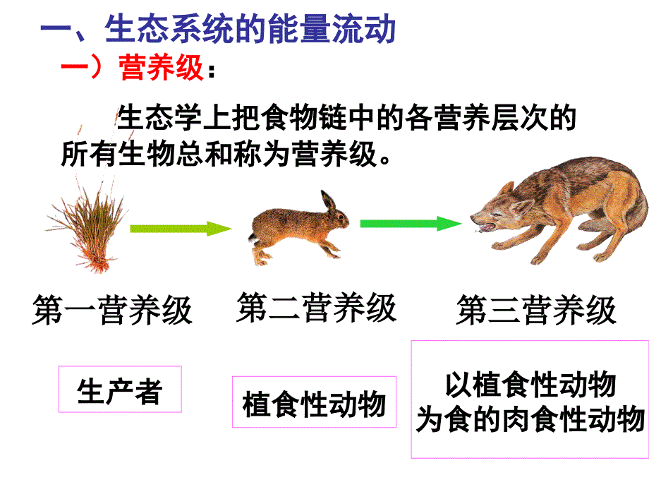 能量流动的过程生产者_第3页