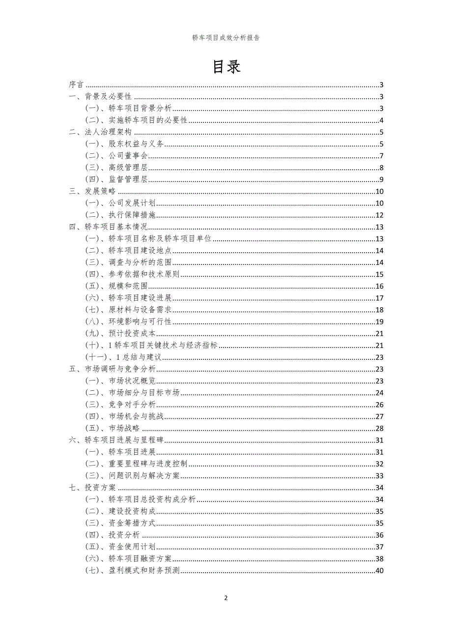 轿车项目成效分析报告_第2页