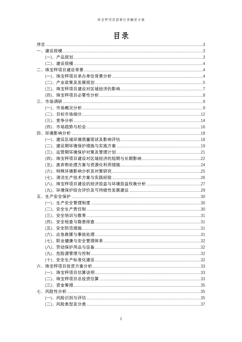 珠宝秤项目招商引资融资方案_第2页