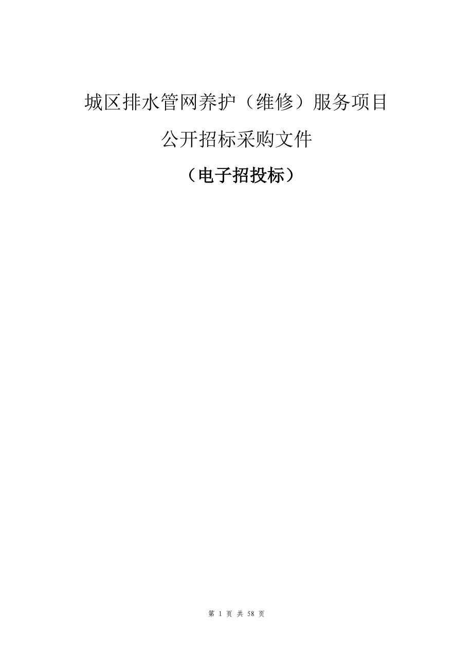 城区排水管网养护（维修）服务项目招标文件_第1页