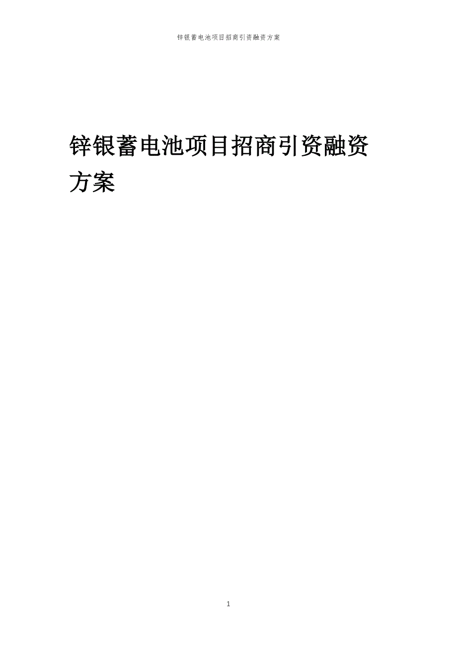 锌银蓄电池项目招商引资融资方案_第1页