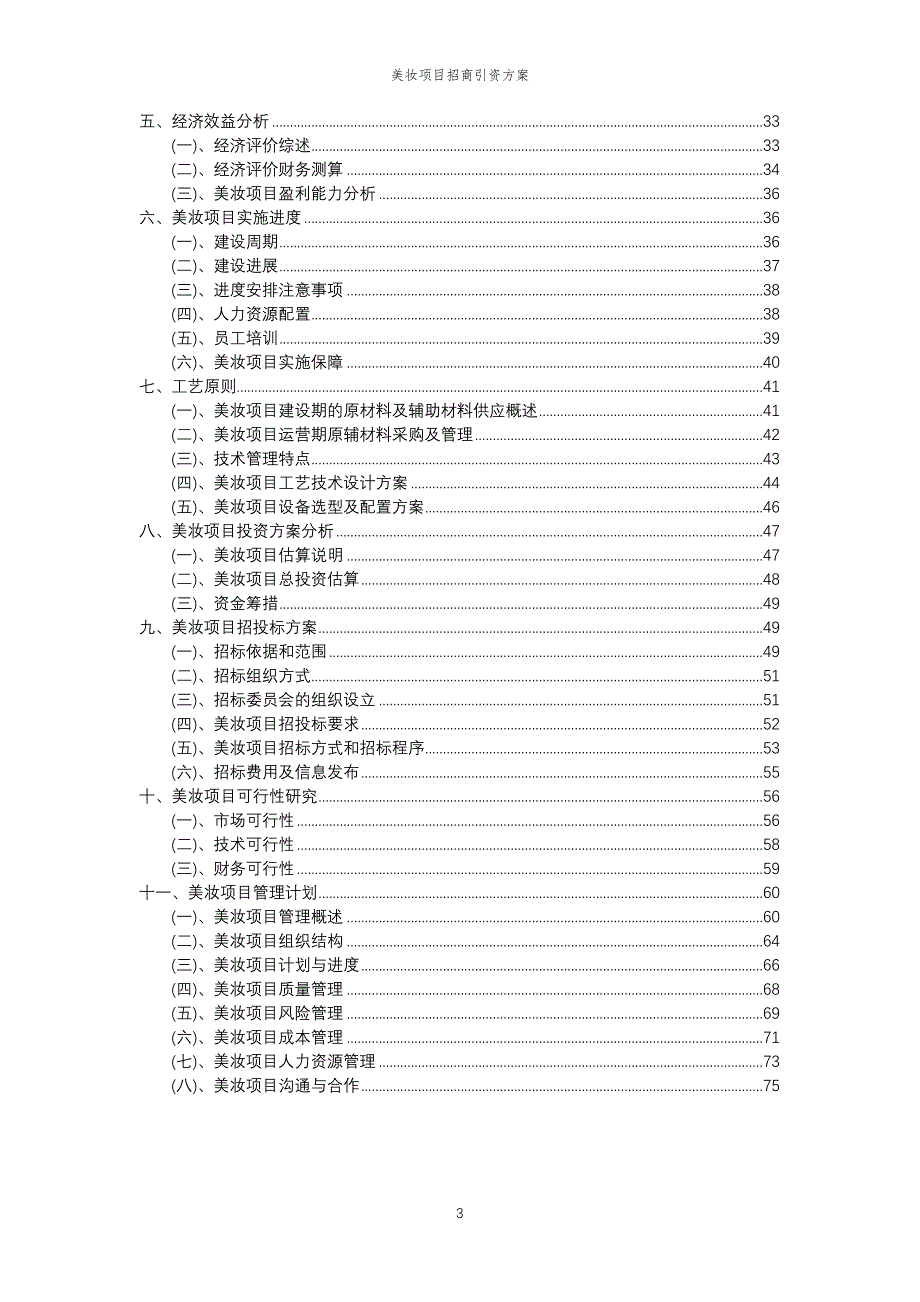 美妆项目招商引资方案_第3页