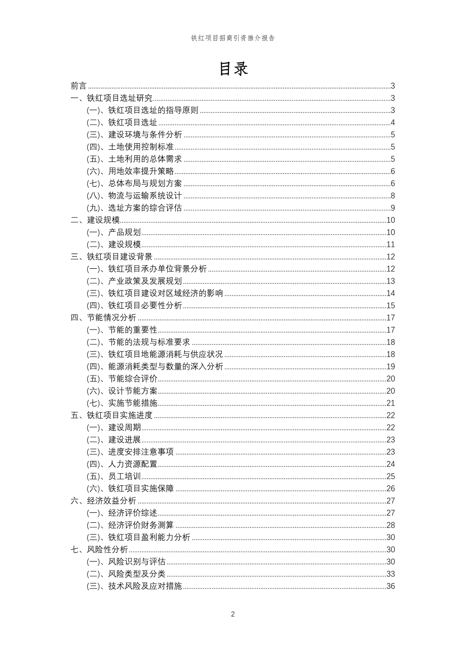 铁红项目招商引资推介报告_第2页