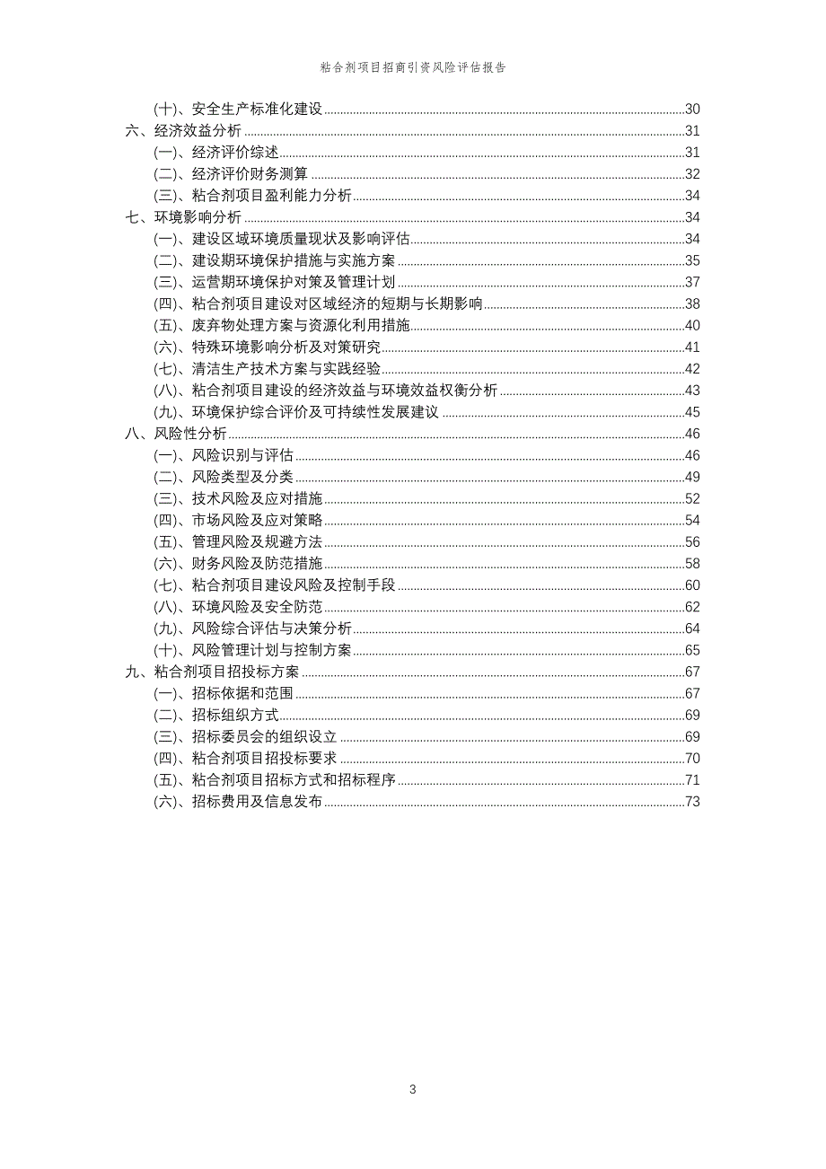 粘合剂项目招商引资风险评估报告_第3页