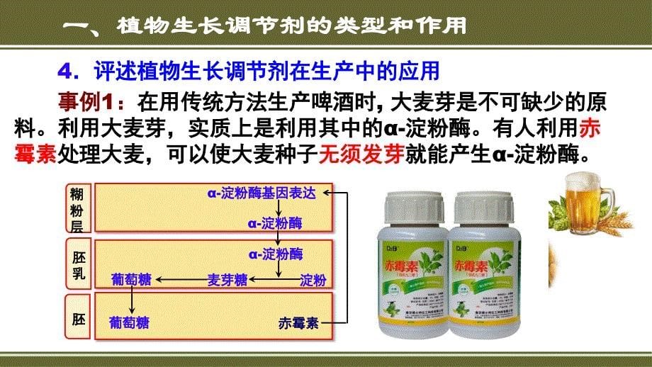 【高中生物】植物生长调节剂的应用 课件 2023—2024学年高二上学期生物人教版选择性必修1_第5页