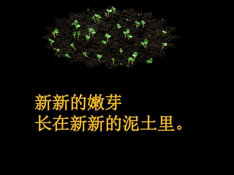 晨诵《新新的嫩芽》专题培训课件_第5页