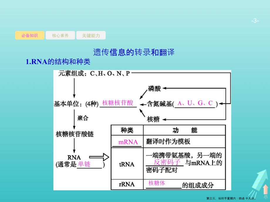 基因的表达课件新人教版_第3页