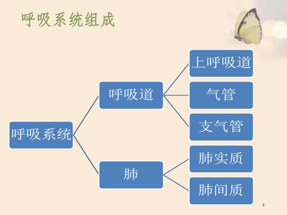 肺功能检查操作流程_第3页