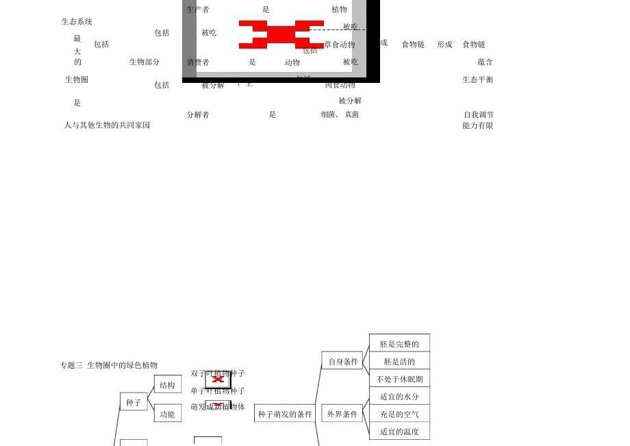 中考生物复习思维导图1中考_第5页