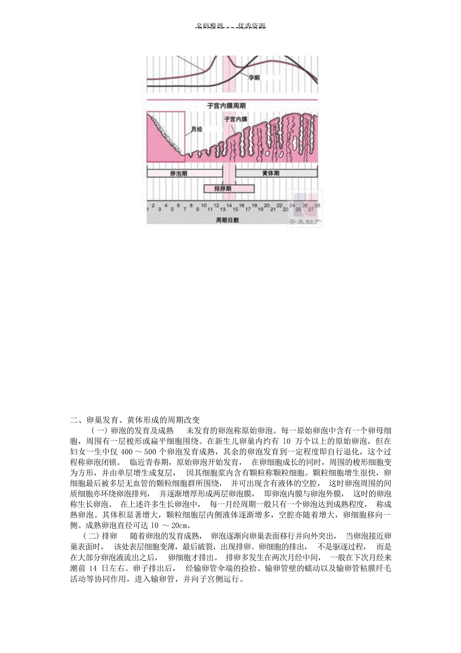 执业医师妇科复习指导女性生殖系统生理妇产科学_第3页