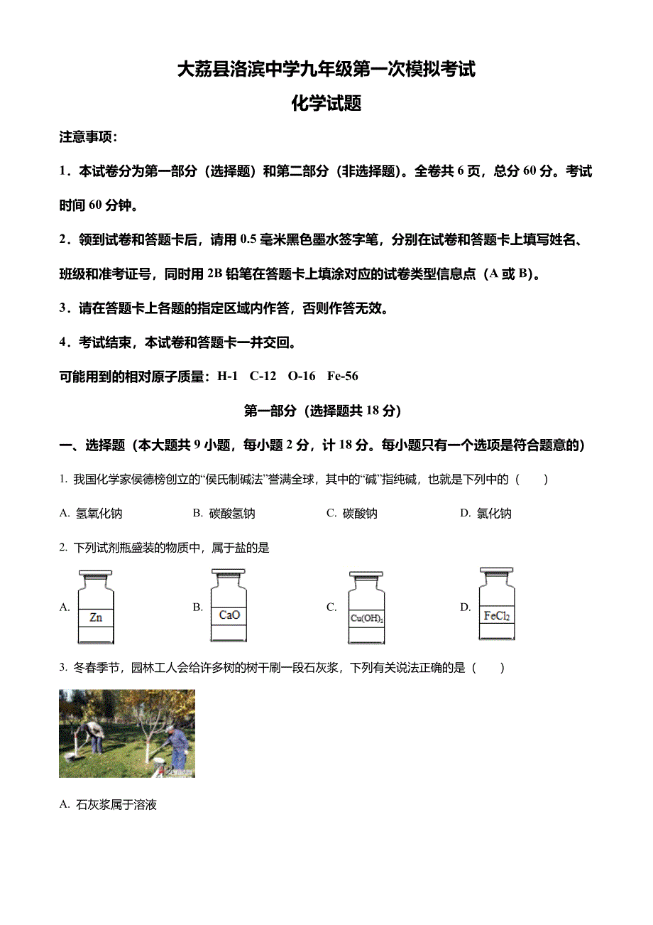 2022年陕西省渭南市大荔县洛滨中学中考一模化学试题_第1页