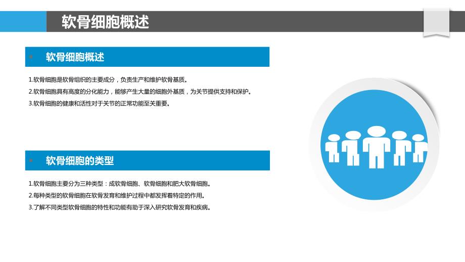 软骨细胞信号通路_第4页