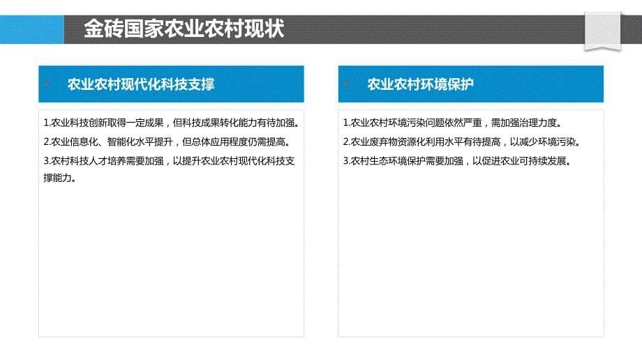 金砖国家农业农村现代化_第5页