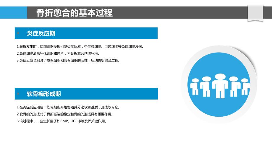 基因治疗在骨折愈合中的应用探索_第4页