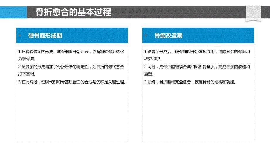 基因治疗在骨折愈合中的应用探索_第5页