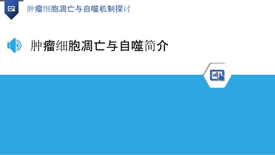 肿瘤细胞凋亡与自噬机制探讨_第3页