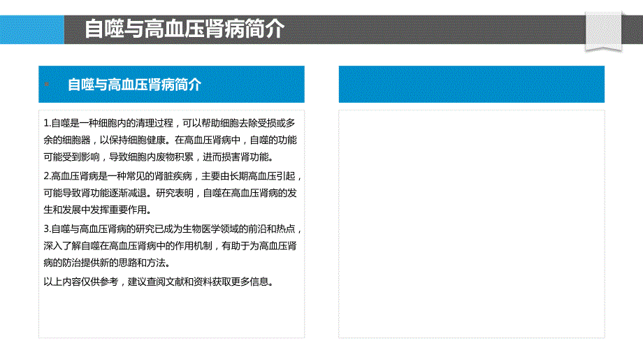 自噬在高血压肾病中_第4页