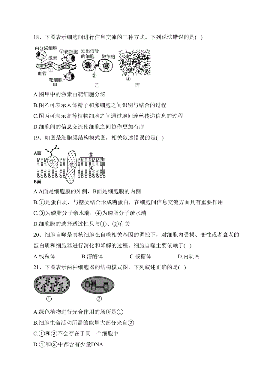 江苏省南京市六校2023-2024学年高一上学期期中联合调研生物试卷(含答案)_第4页