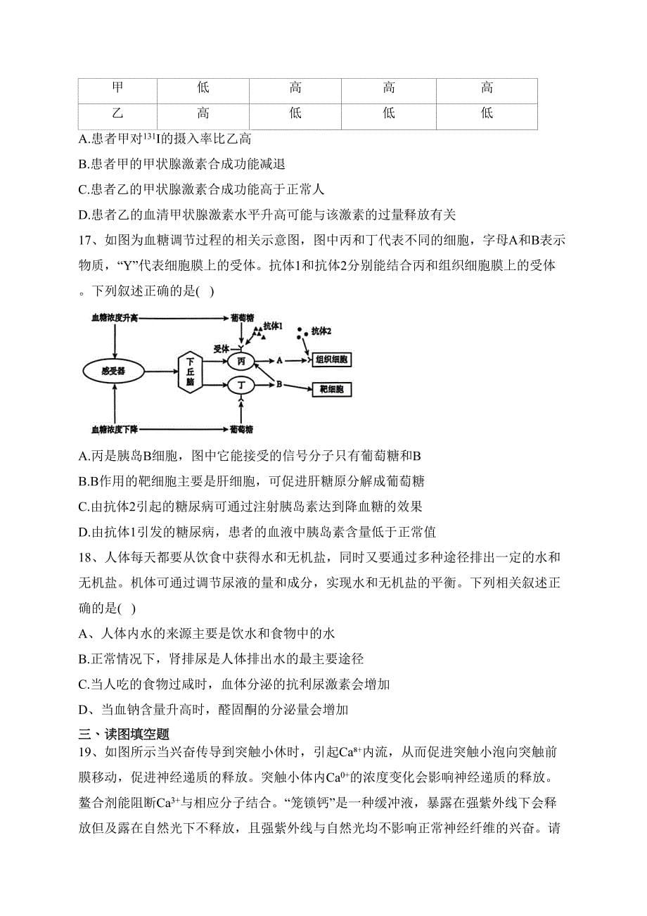 河南省濮阳市2023-2024学年高二上学期11月期中学业质量检测生物试卷(含答案)_第5页