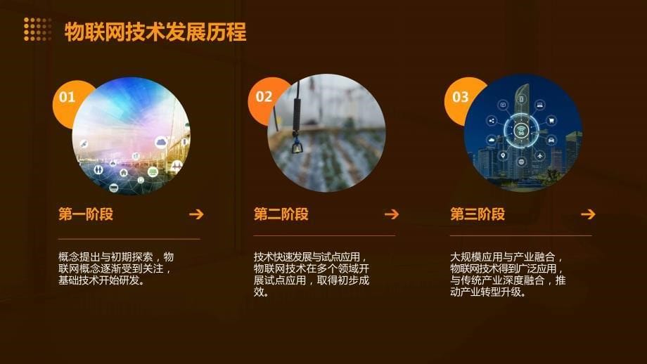 物联网技术应用于智能农业与精准种植_第5页