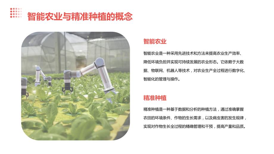 人工智能技术应用于智能农业与精准种植系统解决方案_第4页