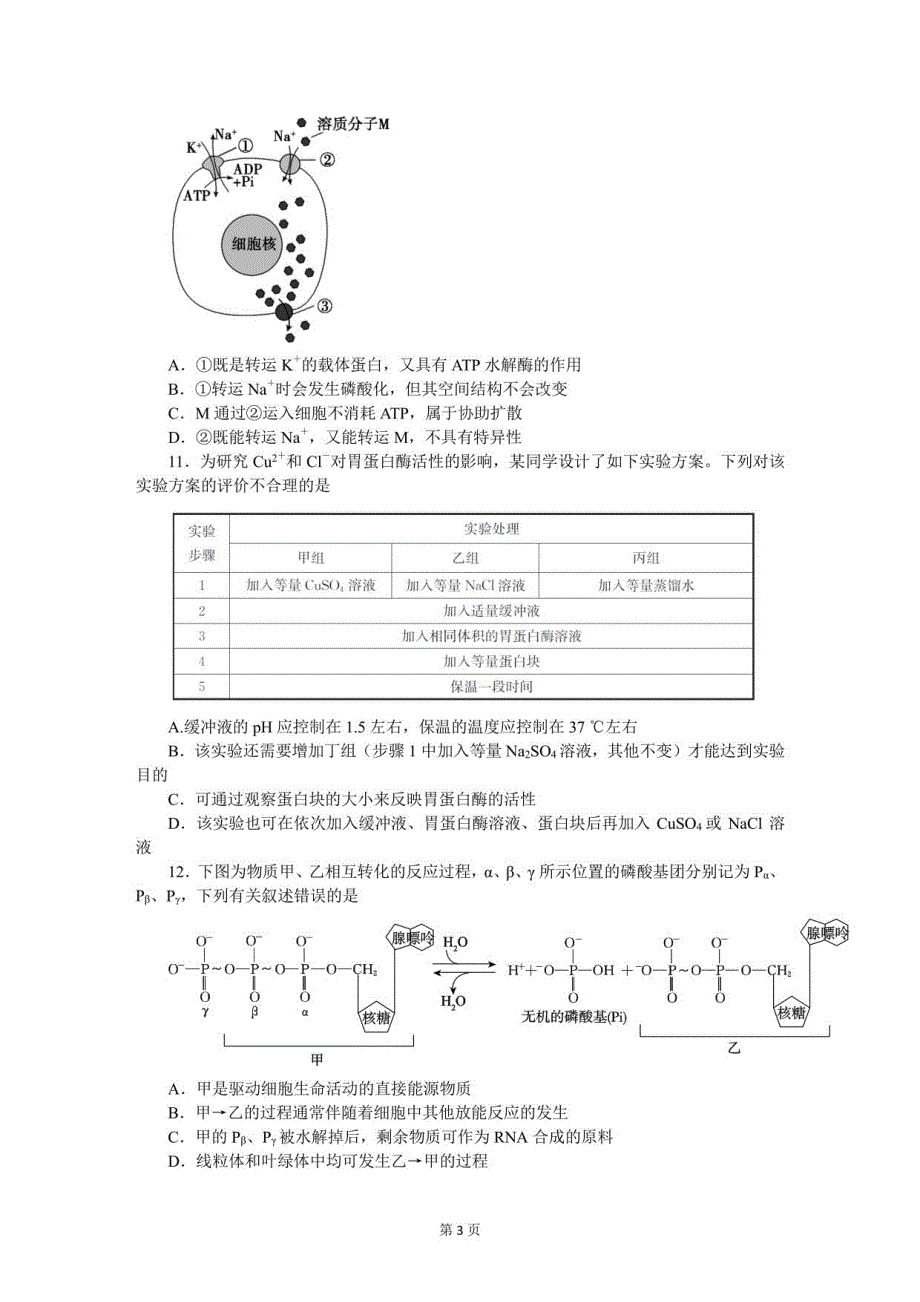 （高一生物试卷）2022-2023学年度第一学期期末考试_第3页