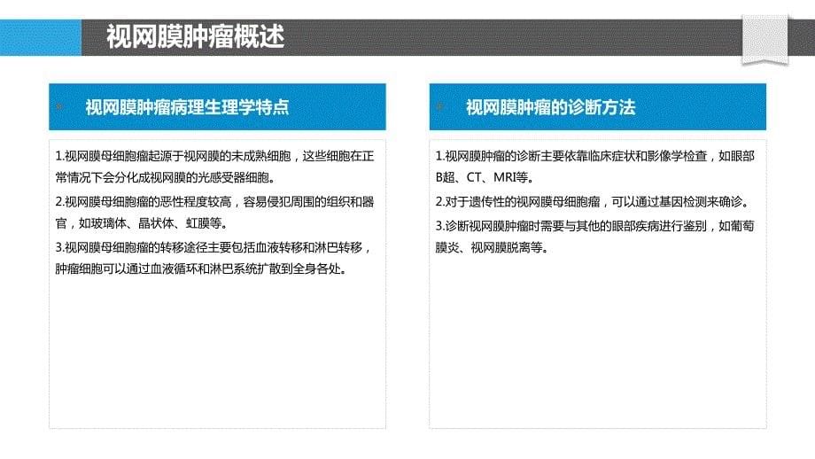 肿瘤干细胞在视网膜肿瘤中的作用_第5页