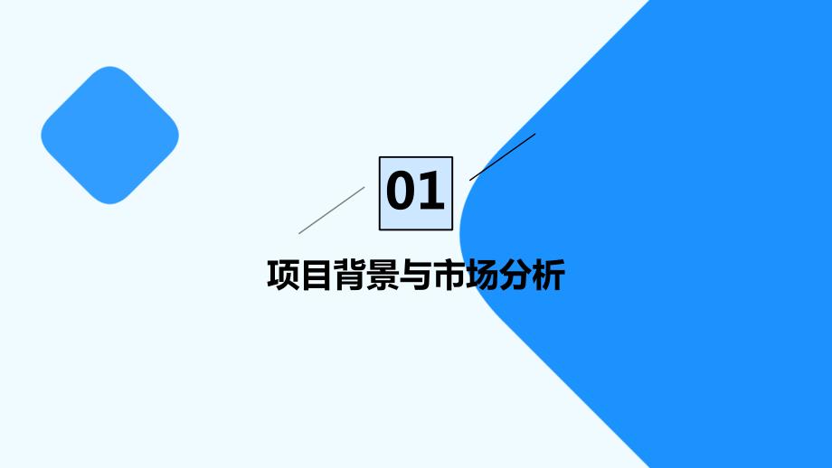 大数据分析技术用于数字化供应链合规与追溯创业计划书_第3页