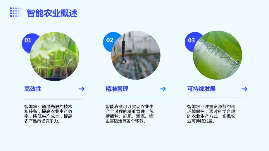 人工智能技术应用于智能农业植物病虫害检测投资方案_第4页