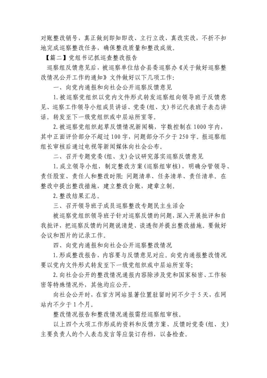 党组书记抓巡查整改报告6篇_第5页