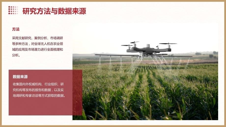 2024年全球无人机在农业领域的应用及市场潜力研究报告_第5页