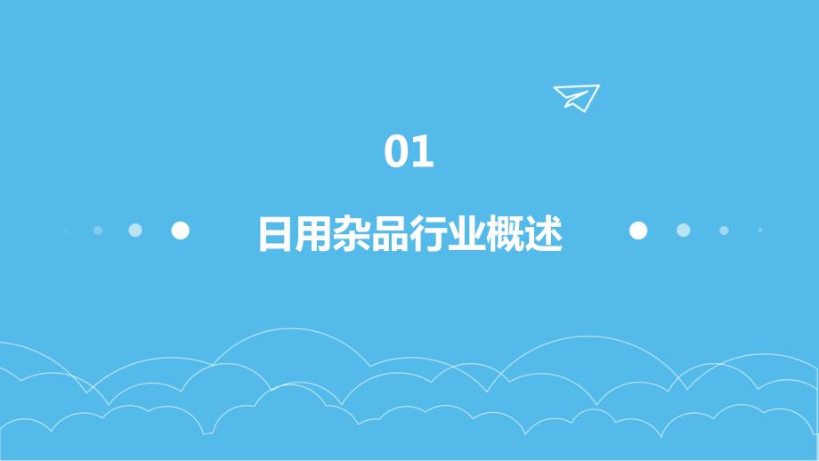 2023年日用杂品行业经营分析报告_第3页