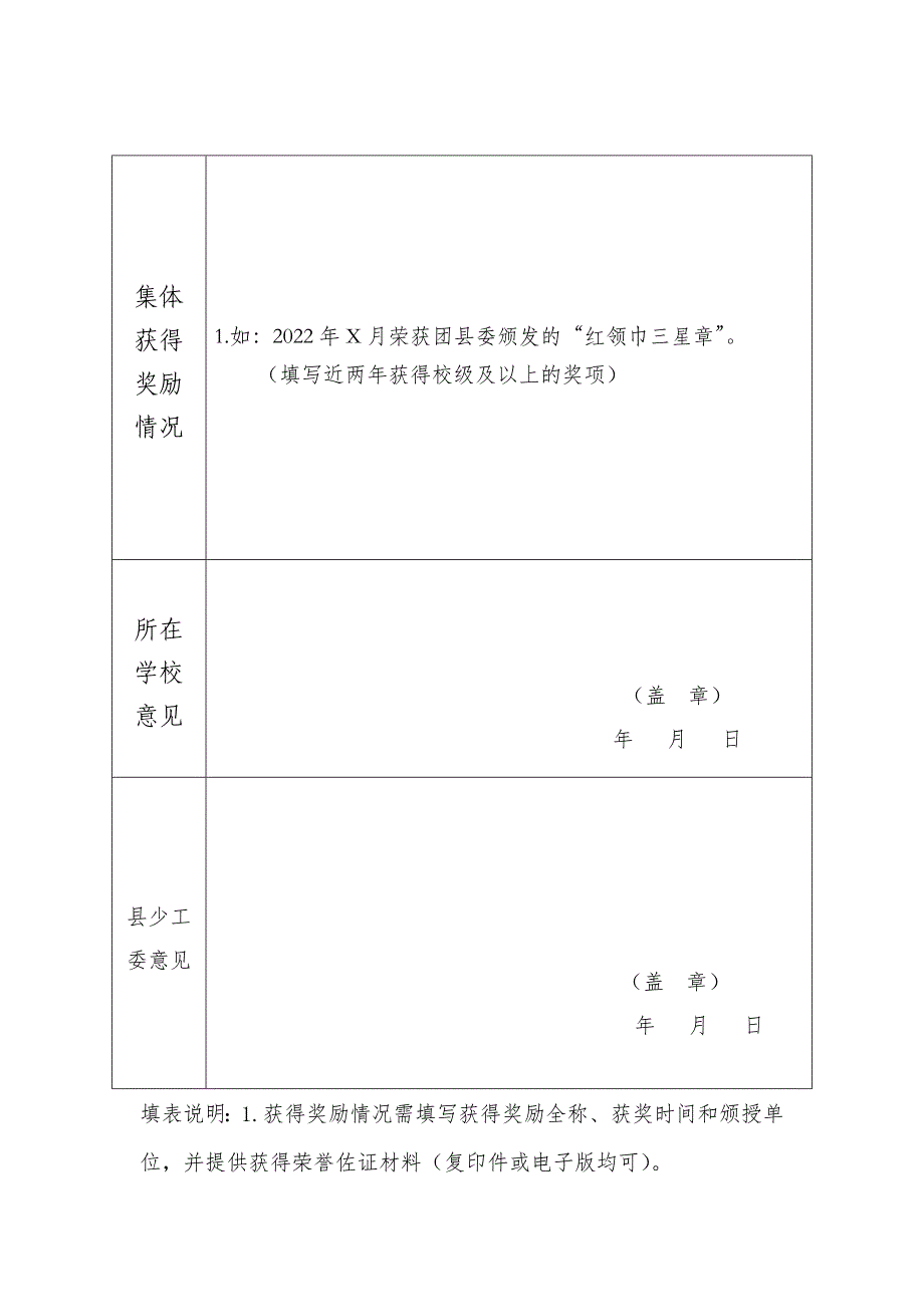 “白沙县优秀少先队大队”推荐表_第2页