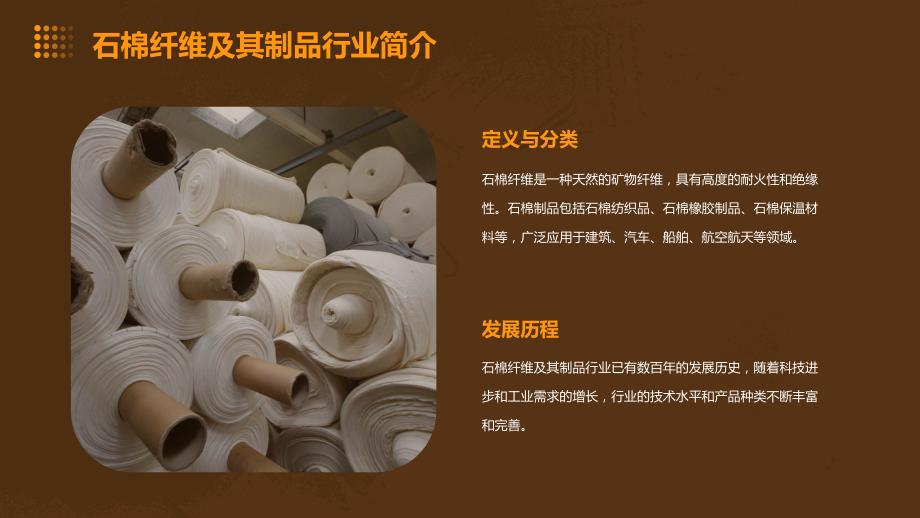 2023年石棉纤维及其制品行业经营分析报告_第4页