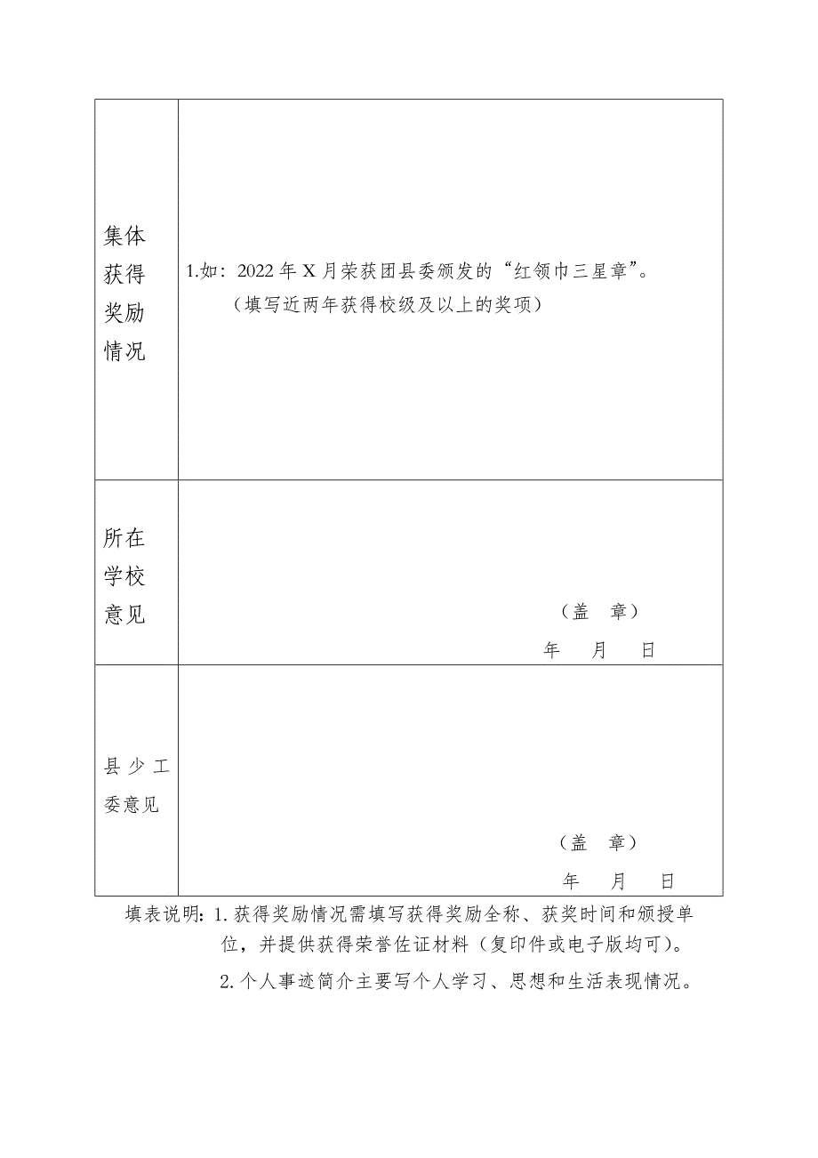 “白沙县优秀少先队中队”推荐表_第2页