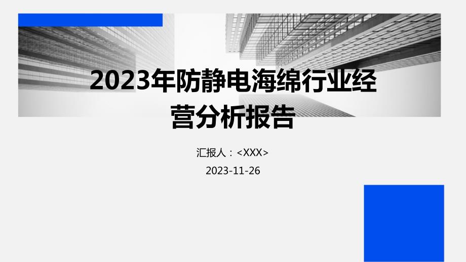 2023年防静电海绵行业经营分析报告_第1页