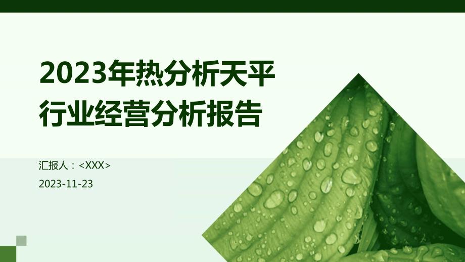 2023年热分析天平行业经营分析报告_第1页