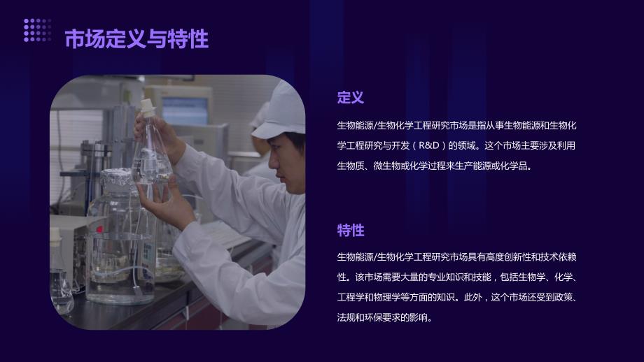 生物能源生物化学工程研究市场研究报告_第4页