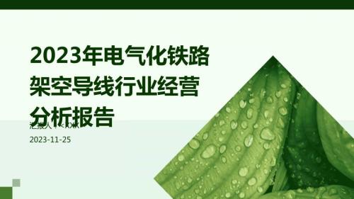 2023年电气化铁路架空导线行业经营分析报告