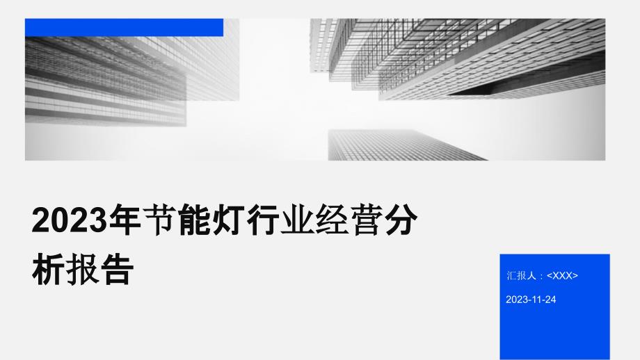 2023年节能灯行业经营分析报告_第1页