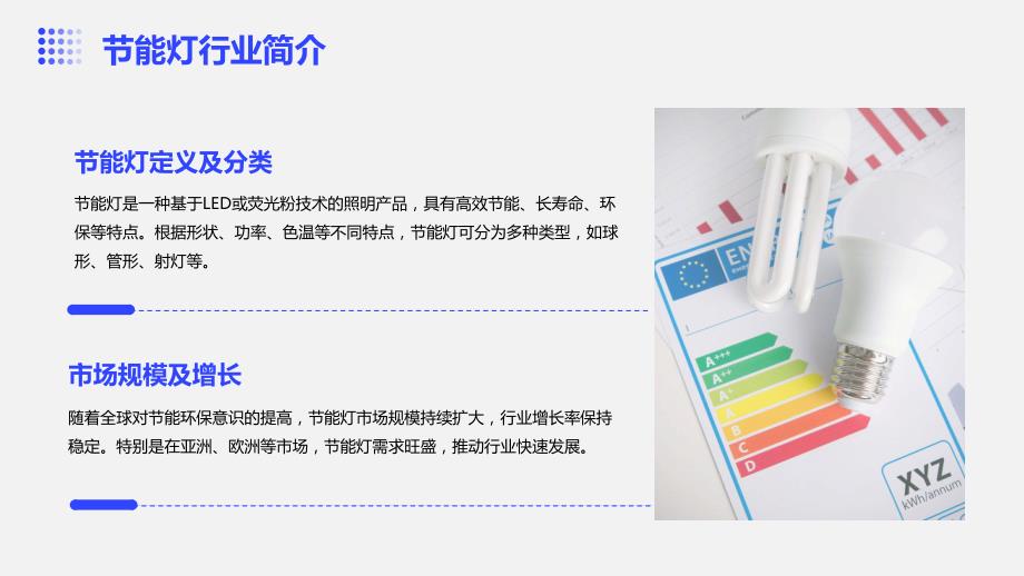 2023年节能灯行业经营分析报告_第4页