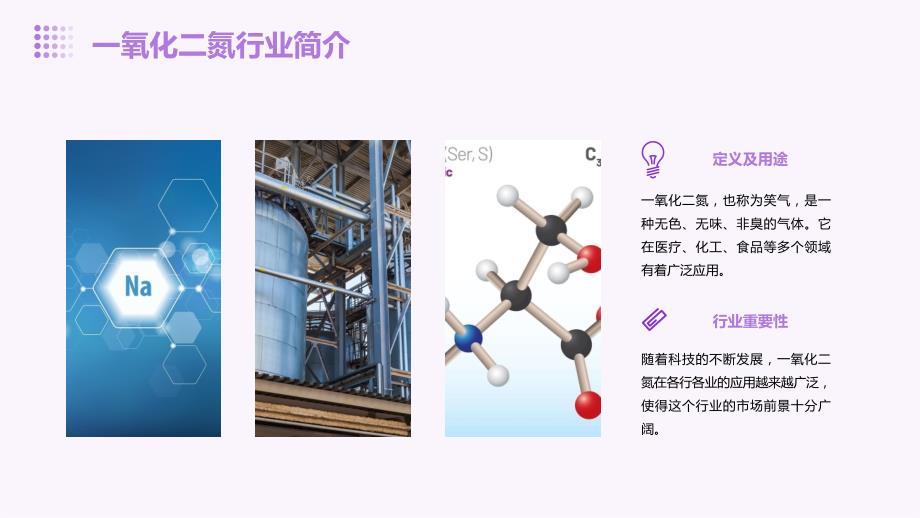 2023年一氧化二氮行业经营分析报告_第4页