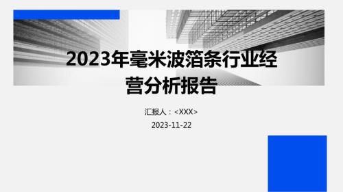 2023年毫米波箔条行业经营分析报告