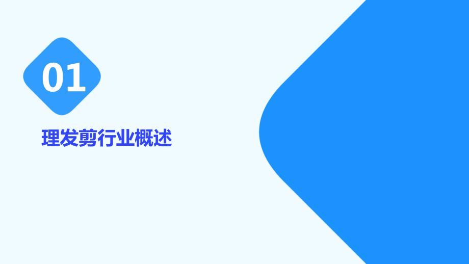 2023年理发剪行业经营分析报告_第3页