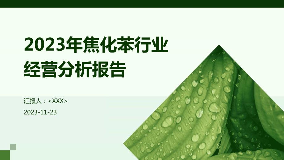 2023年焦化苯行业经营分析报告_第1页